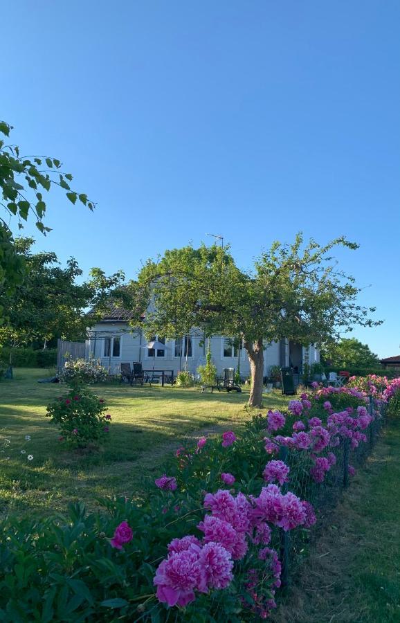 Villagatan Norrtälje المظهر الخارجي الصورة